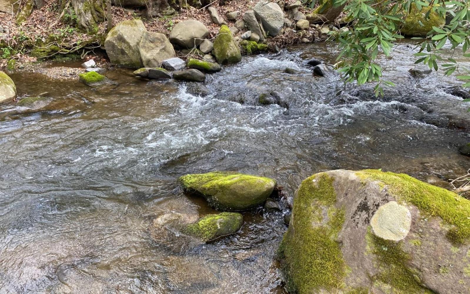 Shady Creek Villa Gatlinburg Eksteriør bilde